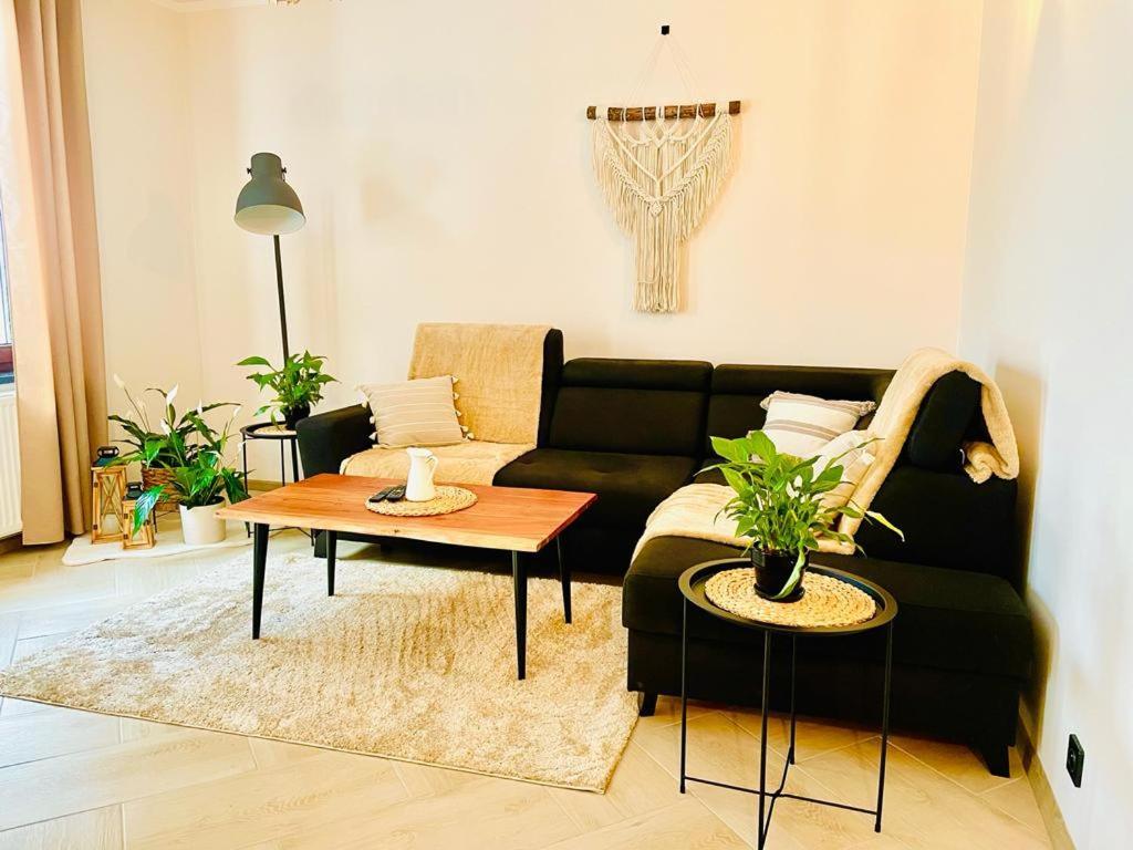 Gorska Cisza - Duzy, Komfortowy, Wyjatkowy Apartament Stronie Śląskie Exterior foto